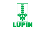 Lupin