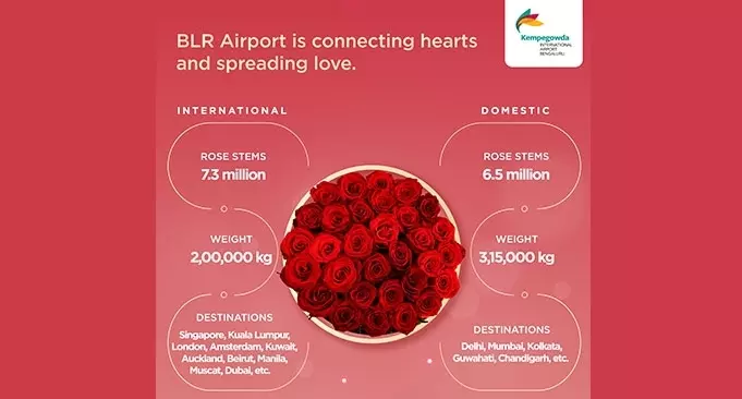 Rose shipments nearly double from Bengaluru airport Rose shipments nearly double from Bengaluru airport