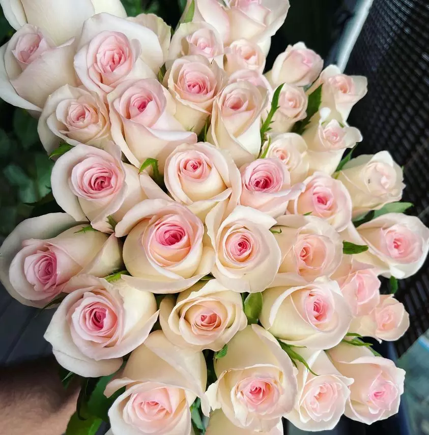 Flower exports are slated to be low this year, owing to good domestic demand and high freight rates, weaning many cultivators from exports Flower exports are slated to be low this year, owing to good domestic demand and high freight rates, weaning many cultivators from exports