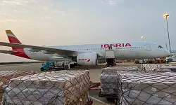 Kuehne+Nagel partners with IAG Cargo to cut down supply chain emissions Kuehne+Nagel partners with IAG Cargo to cut down supply chain emissions