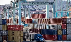 Oversupply leading to price correction: Container xChange