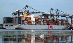 Xeneta Shipping Index hits new high but have rates peaked? Xeneta Shipping Index hits new high but have rates peaked?