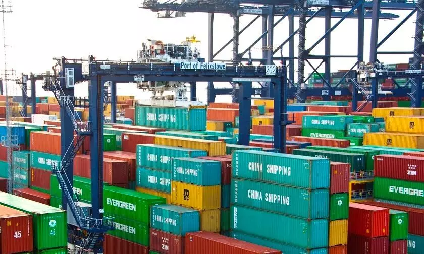 Strikes at European ports add to disruptions: Container xChange