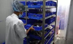 Pescafresh launches new processing facility in Mumbai Pescafresh launches new processing facility in Mumbai