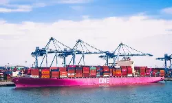 ONE Q2 net profit up 31% at $5.5bn ONE Q2 net profit up 31% at $5.5bn