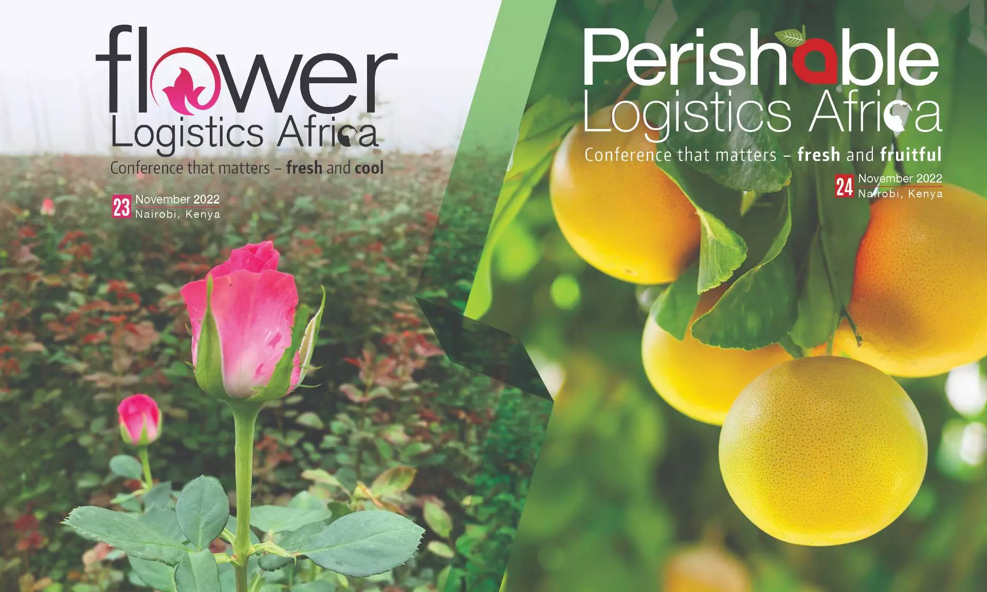 Brussels Airport presents Flower, Perishable Logistics Africa conferences in Nairobi