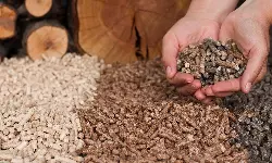 ProcMart enters new vertical with procurement of Biomass Briquettes ProcMart enters new vertical with procurement of Biomass Briquettes