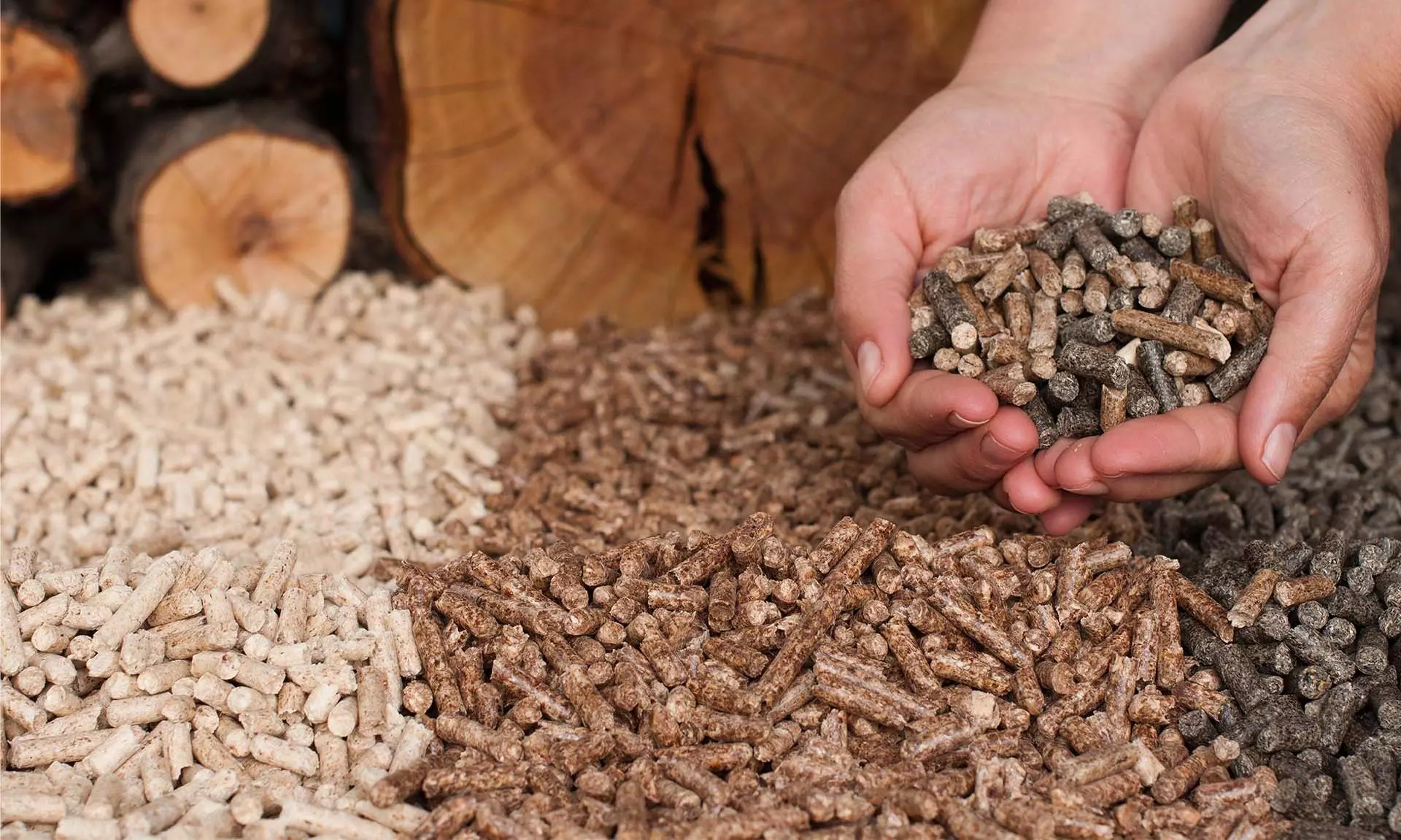 ProcMart enters new vertical with procurement of Biomass Briquettes ProcMart enters new vertical with procurement of Biomass Briquettes