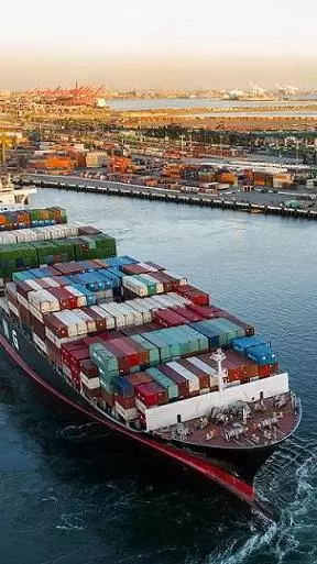 Xeneta Shipping Index drops 13%, sharpest MoM drop