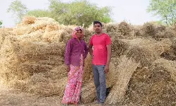 Record 112mn tonnes Indian wheat harvest may not help global supplies Record 112mn tonnes Indian wheat harvest may not help global supplies