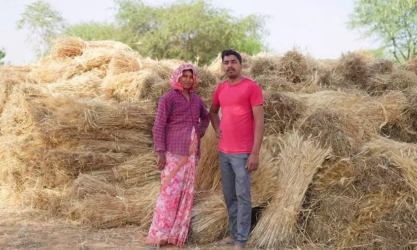 Record 112mn tonnes Indian wheat harvest may not help global supplies Record 112mn tonnes Indian wheat harvest may not help global supplies