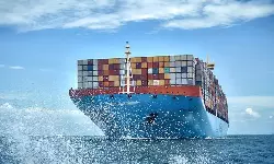 Container shipping stock prices resilient: Drewry Container shipping stock prices resilient: Drewry