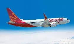SpiceJet hives off cargo and logistics business into separate entity SpiceJet hives off cargo and logistics business into separate entity