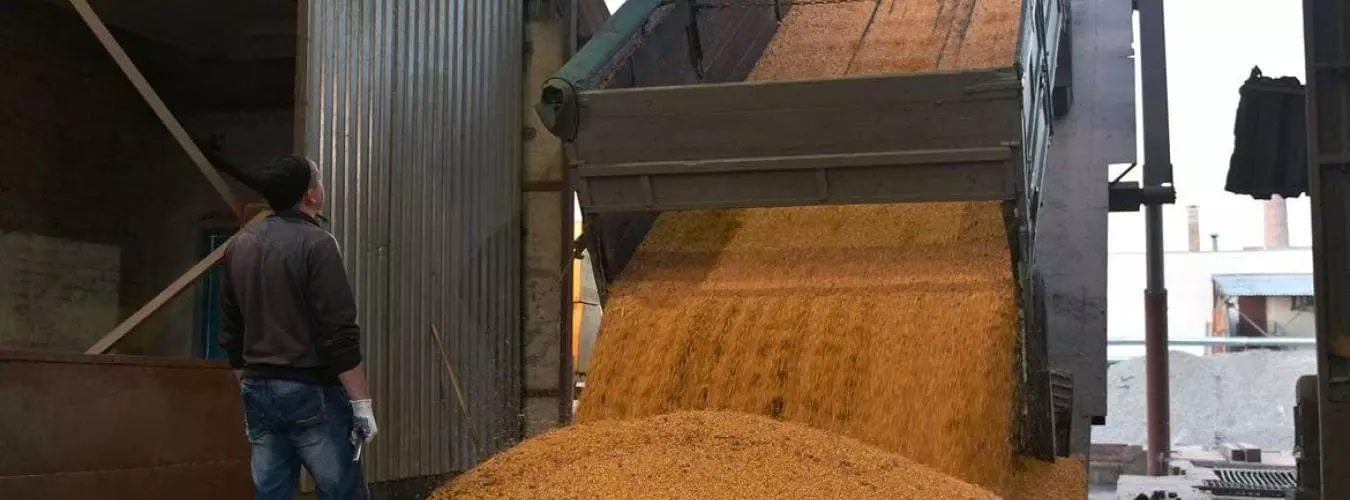 A truck unloads corn grain at a processing factory in Ukraine. © FAO/Genya Savilov A truck unloads corn grain at a processing factory in Ukraine. © FAO/Genya Savilov