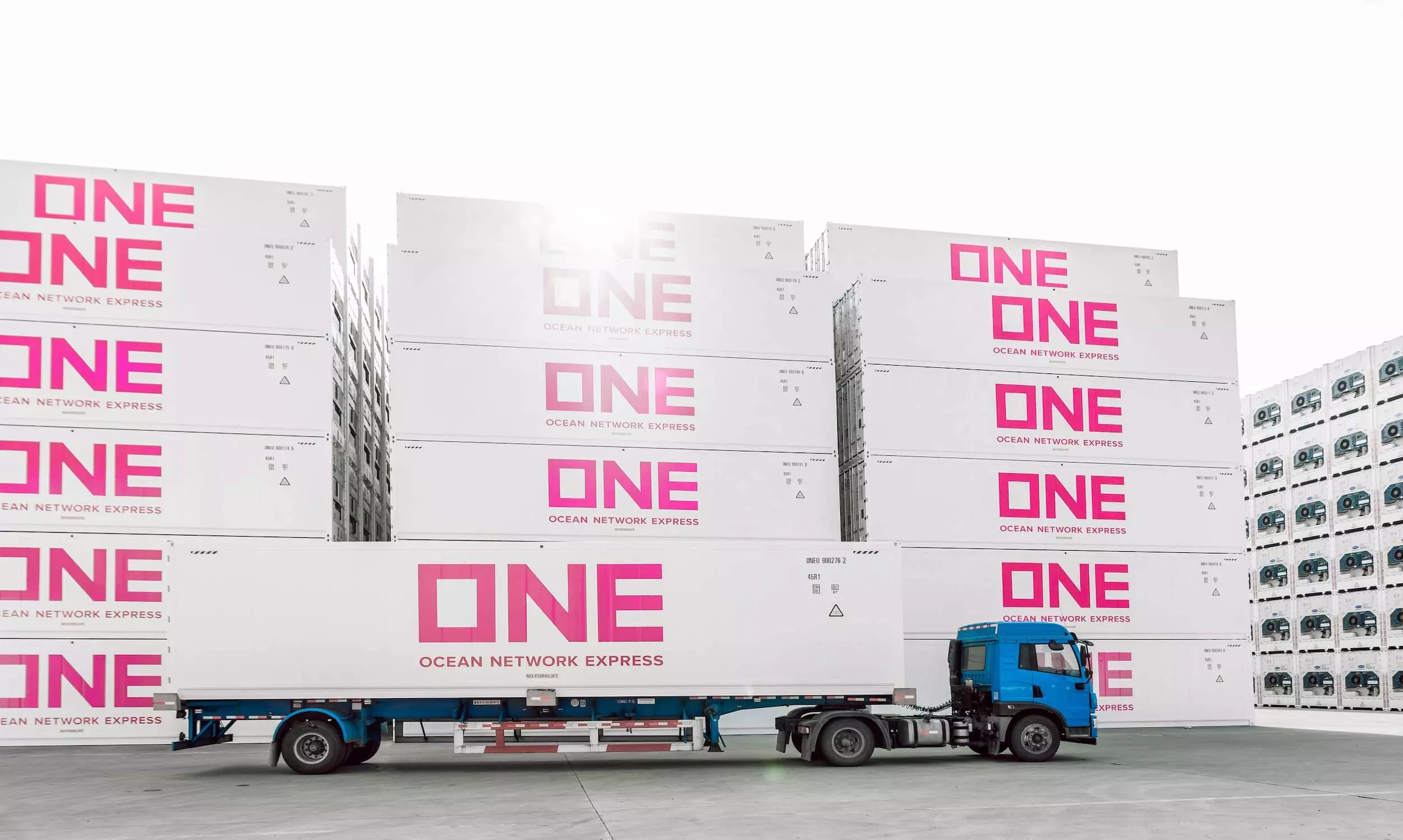 Reefer shipping remains resilient: Drewry Reefer shipping remains resilient: Drewry