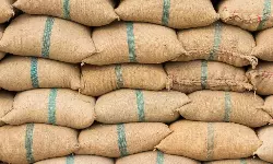 Global rice shipments could fall 4% due to India’s export restrictions Global rice shipments could fall 4% due to India’s export restrictions