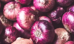 ONDC, NCCF offer affordable chana dal, onions in Delhi NCR ONDC, NCCF offer affordable chana dal, onions in Delhi NCR