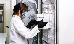 How can India become the hub for global food, pharma cold supply chains How can India become the hub for global food, pharma cold supply chains