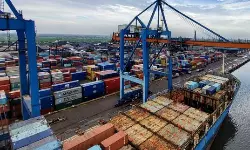 Container ships reach highest avg age on record of 14.2 years Container ships reach highest avg age on record of 14.2 years