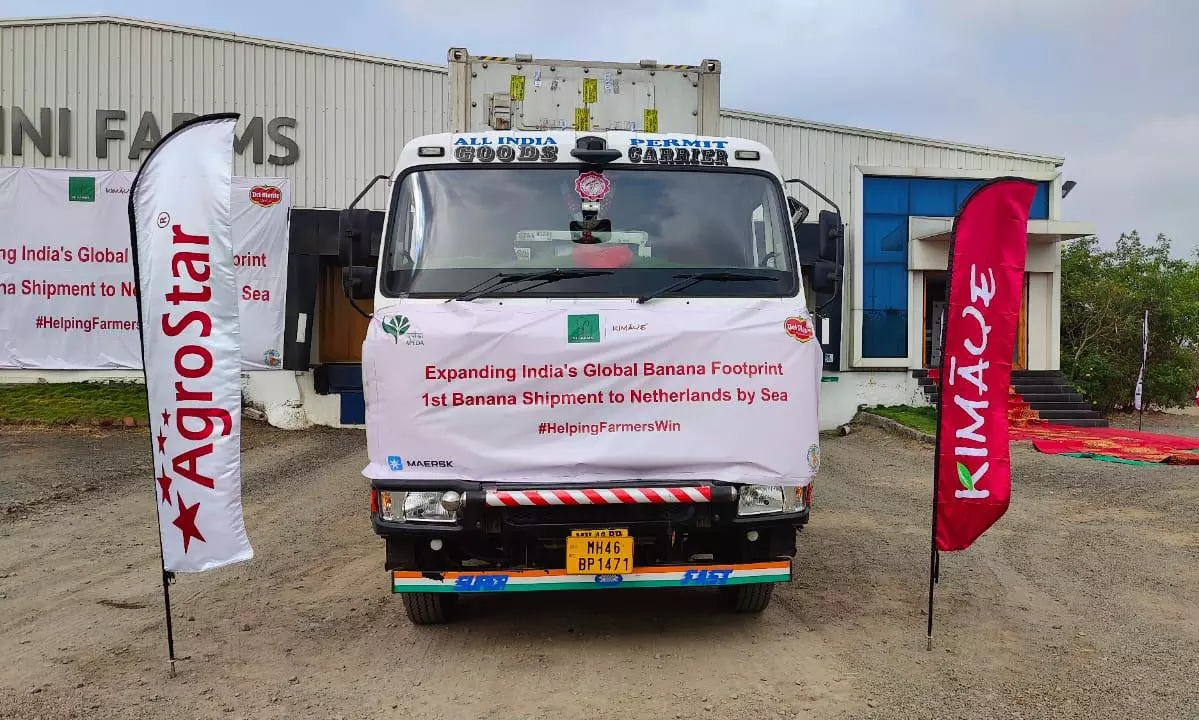 APEDA facilitates first trial banana export to Netherlands via sea APEDA facilitates first trial banana export to Netherlands via sea