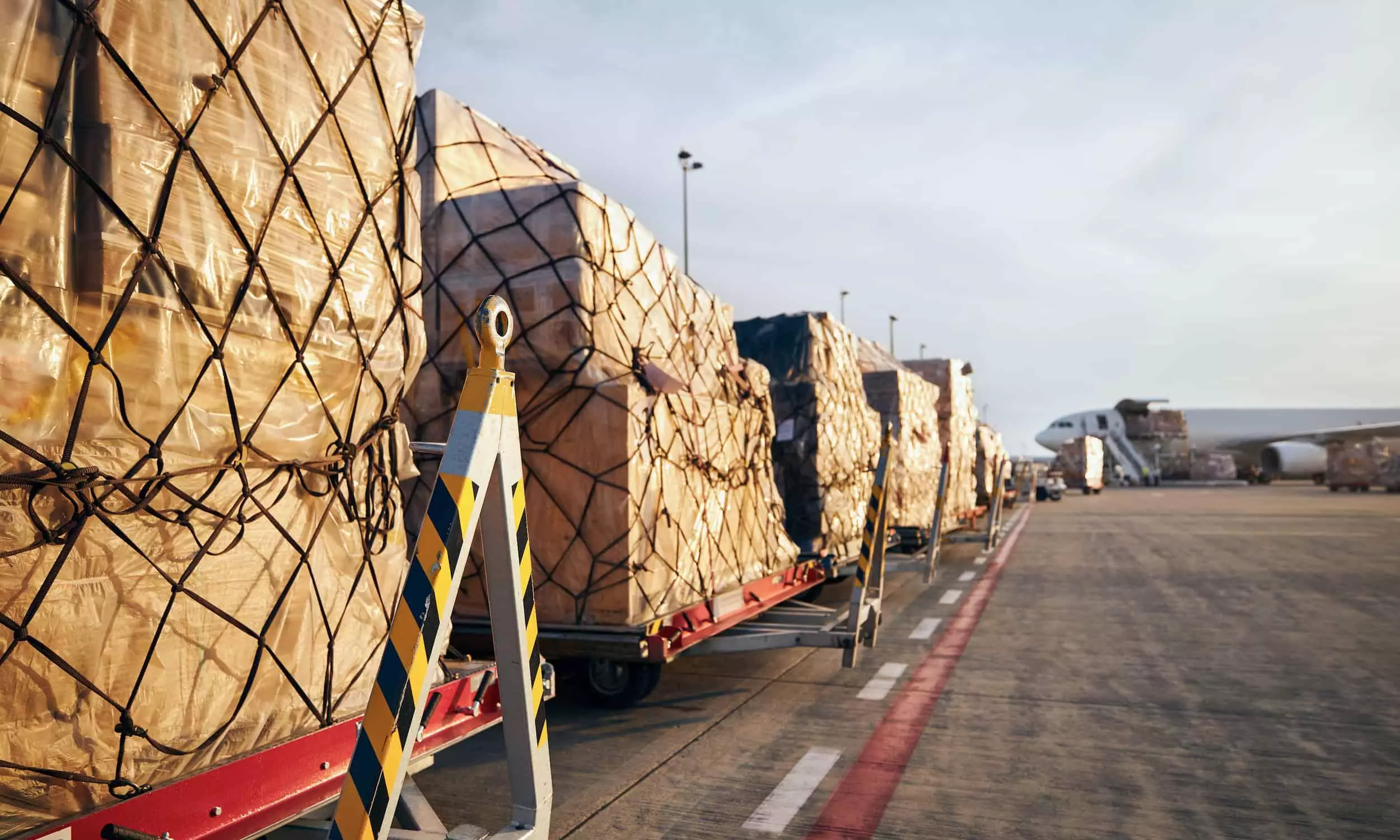 2024 to see return of classic seasonality in air freight: Xeneta