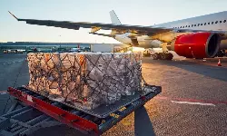 Air cargo demand up 3.8% in October: IATA Air cargo demand up 3.8% in October: IATA