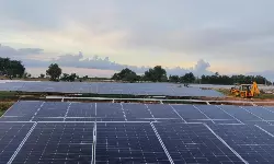 PSA Mumbai is now a renewable energy-powered container terminal