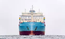Gemini Cooperation: Hapag, Maersk plan partnership from February 2025 Gemini Cooperation: Hapag, Maersk plan partnership from February 2025