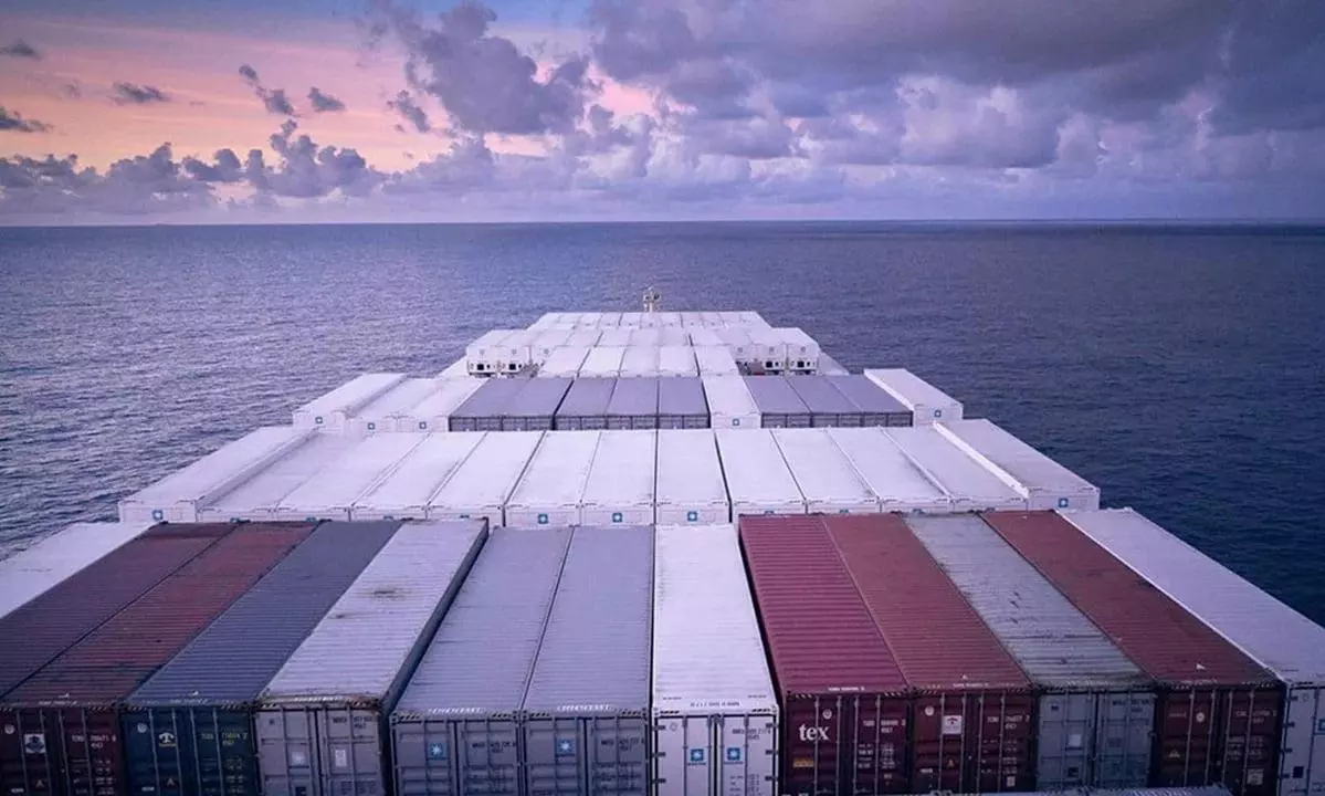 Container market grows a modest 0.2% y/y in 2023 as fleet swells