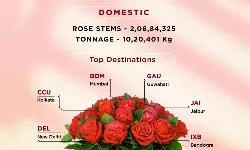 BLR Airport handles 148% more domestic rose stems this Valentine