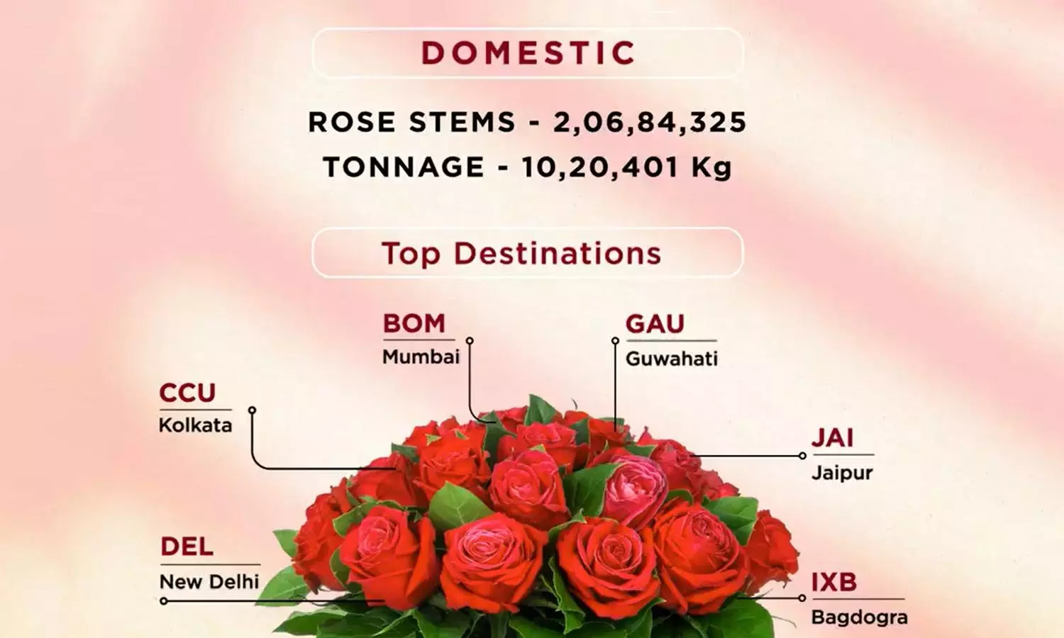 BLR Airport handles 148% more domestic rose stems this Valentine