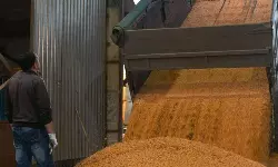 Ukraines grain exports flourish amidst expired Black Sea Grain Initiative Ukraines grain exports flourish amidst expired Black Sea Grain Initiative