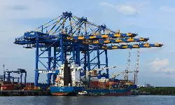 DP World Cochin reports record throughput of 75,141 TEUs in Feb DP World Cochin reports record throughput of 75,141 TEUs in Feb