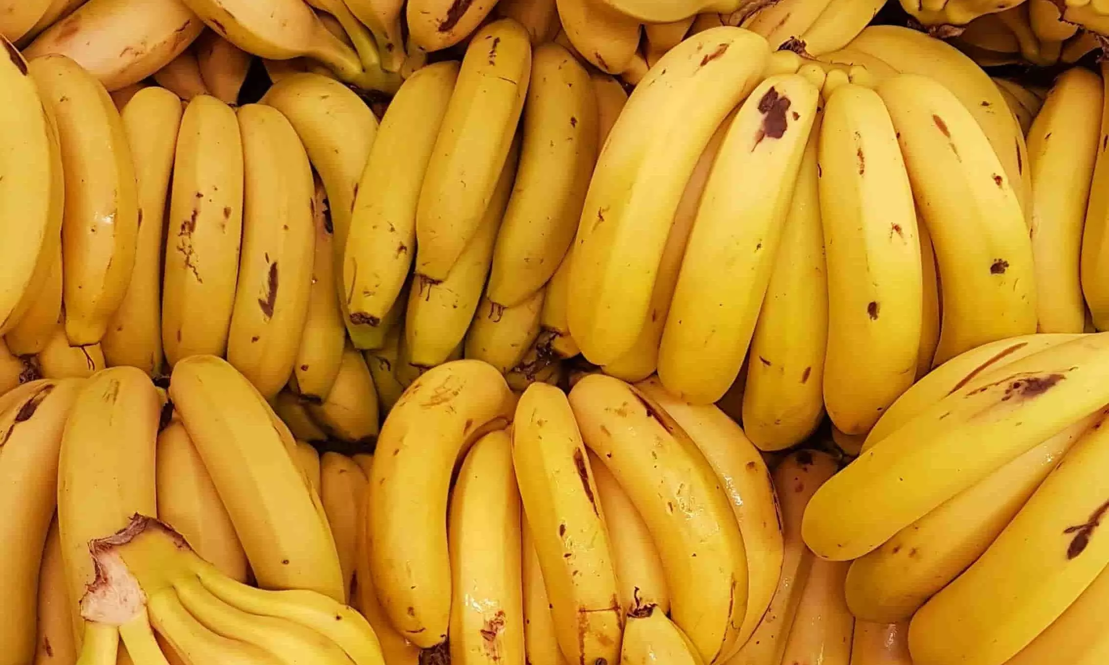 Drewry says reefer sector to stay strong in 2024 on rising exports