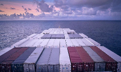 Multiple reasons contribute to high container freight rates Multiple reasons contribute to high container freight rates