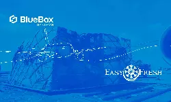 Easyfresh Netherlands, BlueBox team up for cold chain shipments
