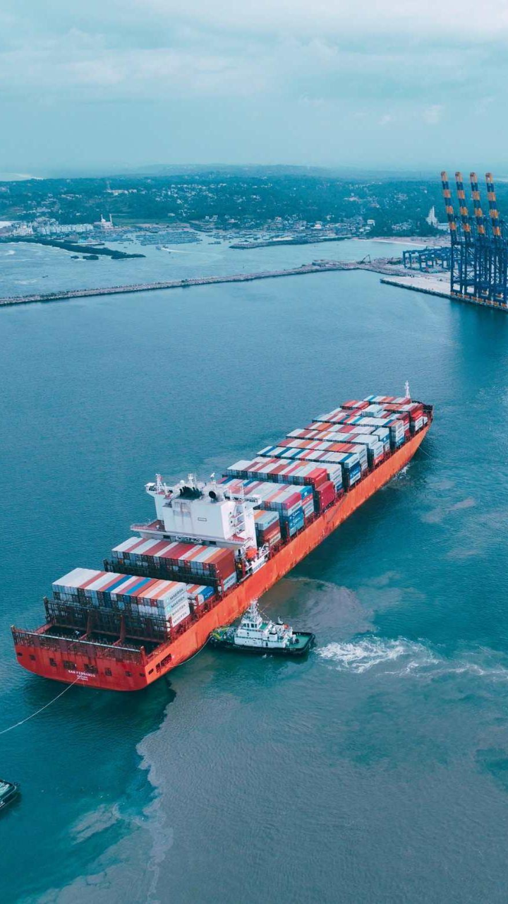 Vizhinjam port receives first container ship