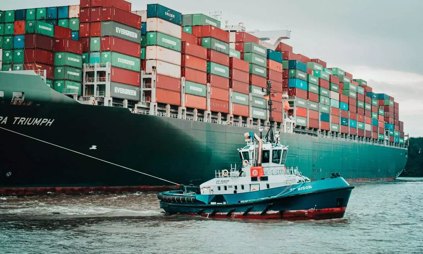 Container ship capacity sees fastest growth in 15 yrs, up 11% in H124 Container ship capacity sees fastest growth in 15 yrs, up 11% in H124