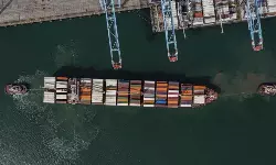 Carriers bullish for peak season,  reduces blank sailings Carriers bullish for peak season,  reduces blank sailings