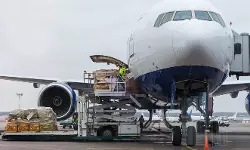 IATA says June air cargo demand up 14%, intl operations up 16% IATA says June air cargo demand up 14%, intl operations up 16%