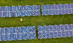 DP World powers Nhava Sheva terminals with 11 MW green energy DP World powers Nhava Sheva terminals with 11 MW green energy