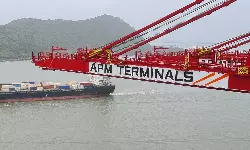 APM Terminals Pipavav Q1FY2025 consolidated net profit up 62% APM Terminals Pipavav Q1FY2025 consolidated net profit up 62%