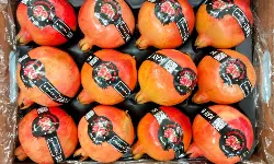 Indias APEDA-certified pomegranates debut in Australia Indias APEDA-certified pomegranates debut in Australia