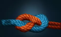 Gemini Cooperation announce two ocean network options