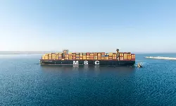 Container shipping network impact to vary in 2025: Sea-Intelligence