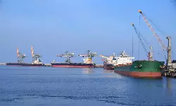 Adani Gangavaram Port achieves new record in timber log handling Adani Gangavaram Port achieves new record in timber log handling