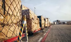 Asia-Pacific airlines report strongest cargo demand growth in Nov Asia-Pacific airlines report strongest cargo demand growth in Nov