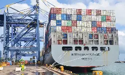 Indian container markets see prices rally