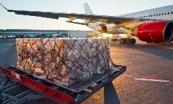 India’s air cargo industry grows amid global expansion in January 2025 India’s air cargo industry grows amid global expansion in January 2025