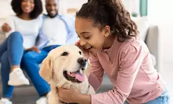 Delhivery to transform supply chain for Mars Petcare Delhivery to transform supply chain for Mars Petcare